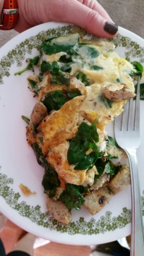 20160412_125408_resized